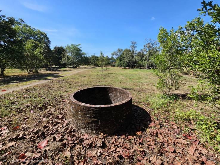 ขายสวนผลไม้ อำเภอขลุง  จันทบุรี พร้อมให้ผลผลิต 8