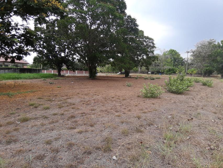 ⛳ขายที่ดินเปล่าเหมาะสำหรับปลูกสร้างบ้าน ในโครงการหมู่บ้านเดอะลากูน1 อำเภอสามโคก จังหวัดปทุมธานี ติดละเลสาป ⛳ 15