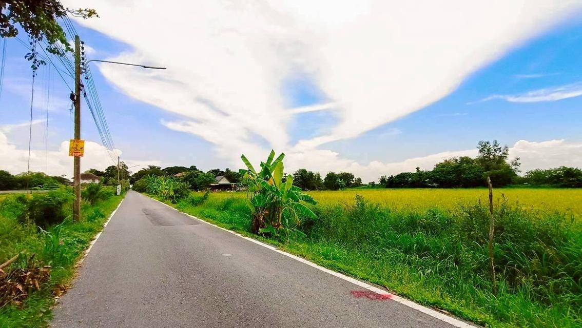 Vายถูก ที่ดินคลองหก 1 ไร่ ติดถนนลาดยางสาธารณะ ซอย คลองหกตะวันออก 86 อ.คลองหลวง จ.ปทุมธานี 3