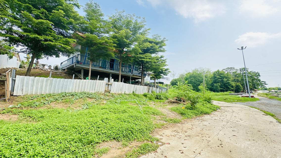 ที่ดินพร้อมบ้านเช่าห้องเช่า68ตรว. 2