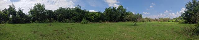 ขายที่ดินผืนงาม 22 ไร่เศษ ติดถนนใหญ่ โซนสีเหลือง อ.แปลงยาว ฉะเชิงเทรา (เขต EEC) – เหมาะแก่การลงทุน ท 8