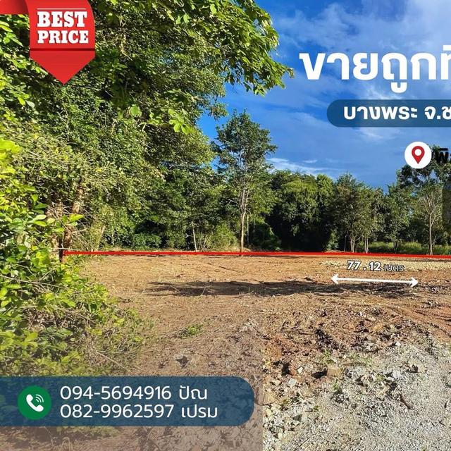 ขายที่ดินทำเลสวย 2 แปลง ต.บางพระ อ.ศรีราชา จ.ชลบุรี อยู่ติดกับร้านอาหารสวนเขาพุ