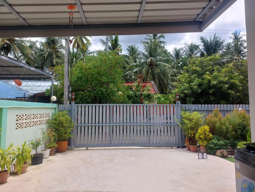 ประกาศขายบ้านสวนมินิมอล 13