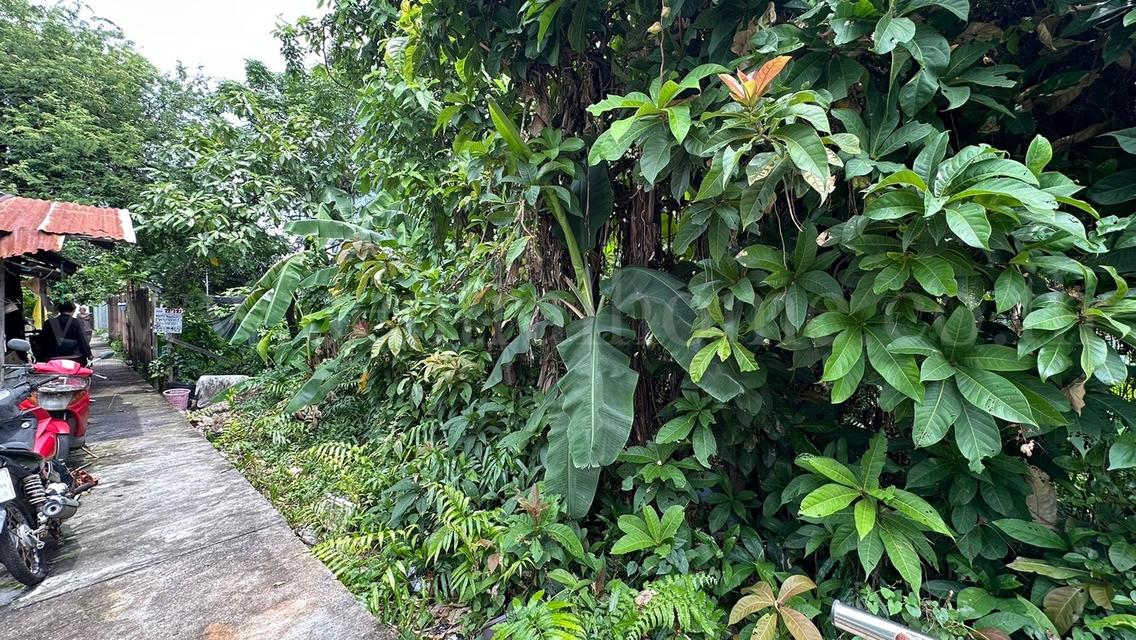 ที่ดิน 80.6 ตร.ว. ซอยจรัญสนิทวงศ์ 3 (ซอยสมชาย) ที่ริมคลอง ราคาถูกมาก 5