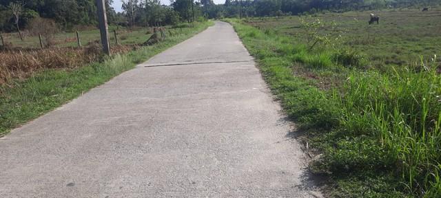 พื้นที่ดิน ที่ดิน ใกล้ม.วลัยลักษณ์ ท่าศาลา ใกล้ ห่าง ม.วลัยลักษณ์ จ.นครศรีธรรมราช ประมาณ 1.4 กม. 750000 - ขนาด 59 sq.wa