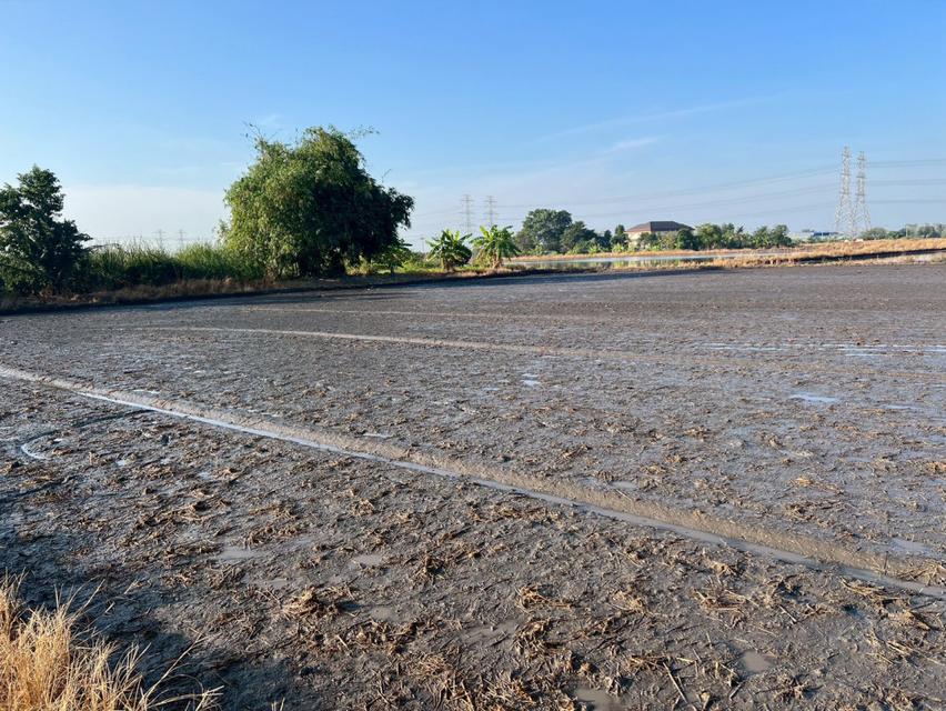 ขายที่ดิน 372.7 ตร.ว. ใกล้หมู่บ้าน เค.ซี.การ์เด้นโฮมและโรงเรียนนวมินทราชินูทิศ 1