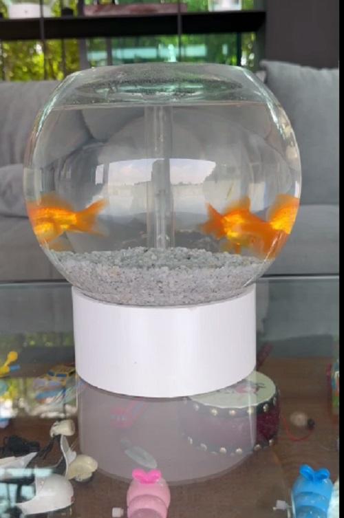 โหลตู้ปลาเคลื่อนที่  โหลตู้ปลาเชิงนิเวศและเสริมฮวงจุ้ย กลมวงรีสวยงามมากแบบตั้งโต๊ะ รูปที่ 2