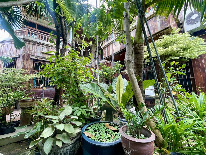 ขายบ้านเดี่ยวโครงการสิริทาวารา Siri Tawara Village ทำเลศักยภาพ 16