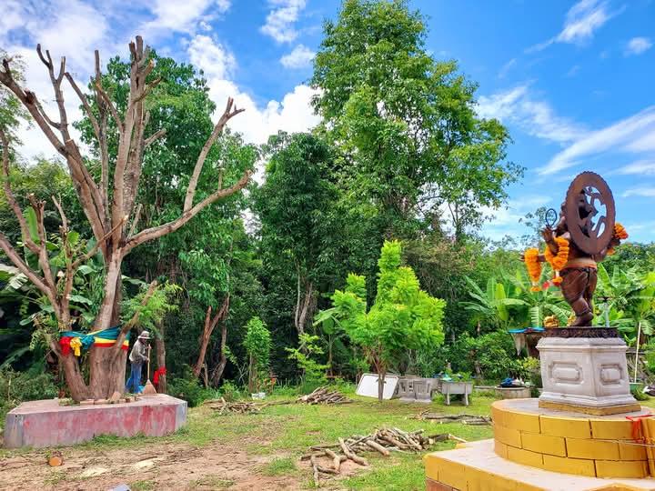 ที่พักฟรีเชียงใหม่ 4