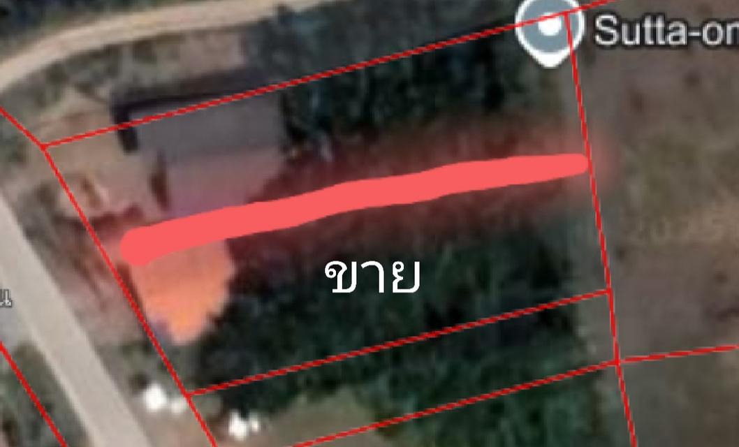 [หลุดจอง สนใจลองทักมา] ขายบ้านพร้อมที่ดินจังหวัดพัทลุงอำเภอเมืองทำเลสวยวิวดี เนื้อที่เกือบ 1 ไร่ 4