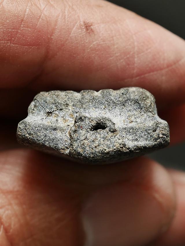 หลวงปู่ทวดเนื้อว่าน รุ่นแรก วัดช้างให้ พิมพ์ใหญ่ ....เก่า เดิมๆ สวยแชมป์ 10