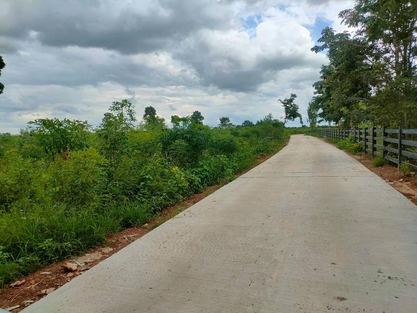 ที่ดิน จำนวน 35 ไร่ 2 งาน อำเภอ กระนวน จังหวัดขอนแก่น 1