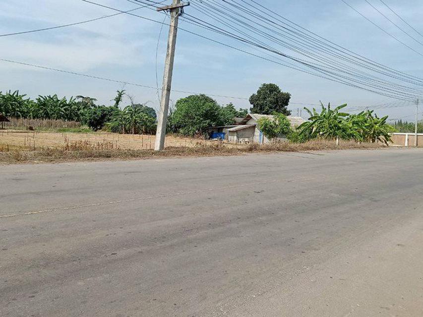 รูป L751 ขายที่ดินติดถนน เกือบ 5 ไร่ เกาะสำโรง ในเมืองกาญจนบุรี ทำเลดี  มีไฟฟ้า-น้ำประปา 2