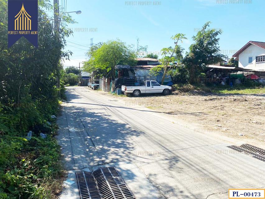 ขายที่ดิน ซอยสวนผัก 29 ตลิ่งชัน กรุงเทพมหานคร เดินทางสะดวก  ใกล้ MRT 7