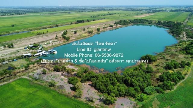 ขายที่ดิน+สิ่งปลูกสร้าง ธัญบุรี รังสิตคลอง 14 76-1-15.4 ไร่ ราคา 59 ล้านบาท (765,000 บาท/ไร่) 2