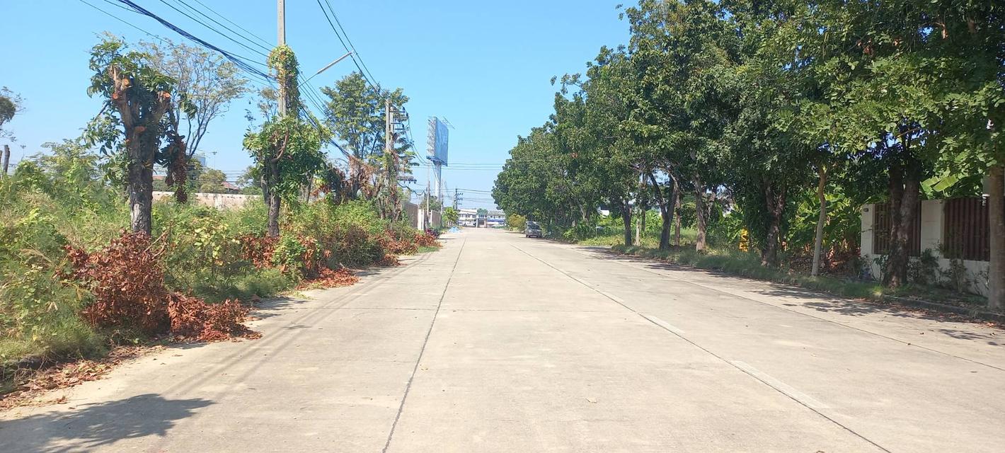 ที่ดินสร้างบ้านม.วริยาวิลล์ บรมราชชนนี พุทธมณฑลสาย4 ใกล้มหิดลศาลายา แปลงมุม ถนนเมน 305 ตร.ว สร้างบ้าน สำนักงาน ราคาพิเศษ 5