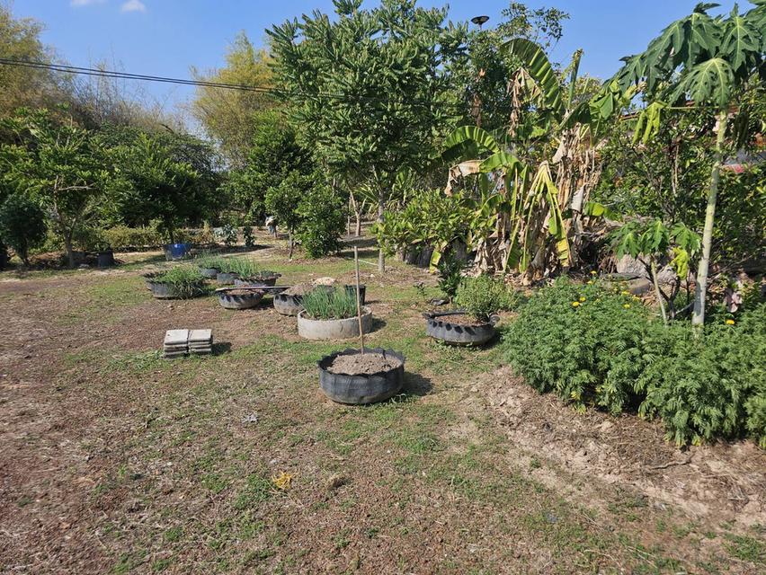 อาคารพาณิชย์ พร้อมที่ดิน 4