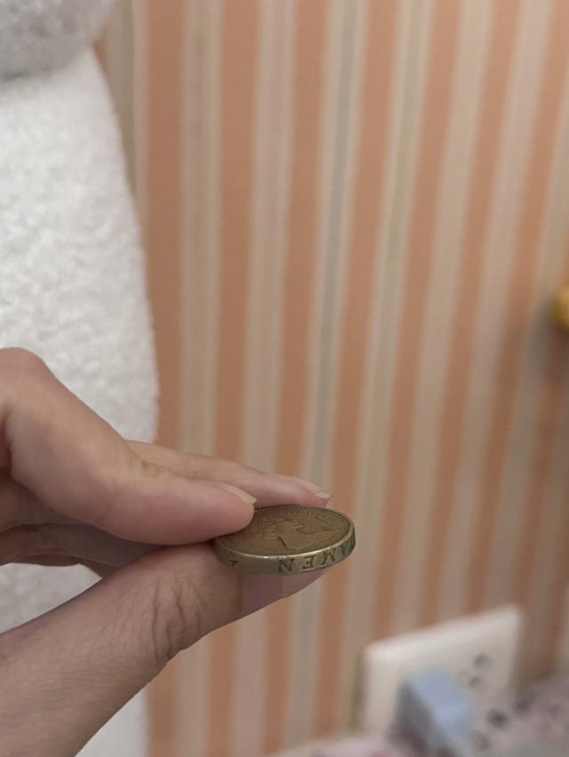 เหรียญสะสม 1 ปอนด์ 2