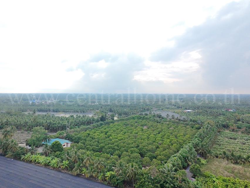 ที่ดิน พร้อมสิ่งปลูกสร้าง 9-3-60 ไร่ สามพราน นครปฐม 3