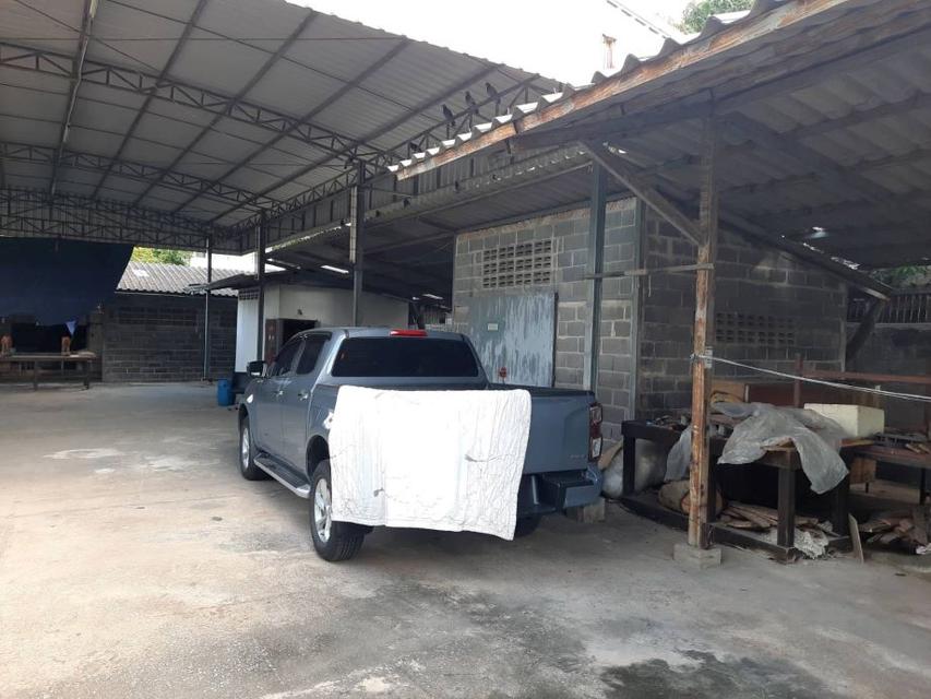 ขายที่ดิน 2แปลง สุขุมวิท105 ซอยลาซาล75 เนืัอที่382 ตรว. ทำเลดีใกล้รถไฟฟ้า ทางด่วน 3