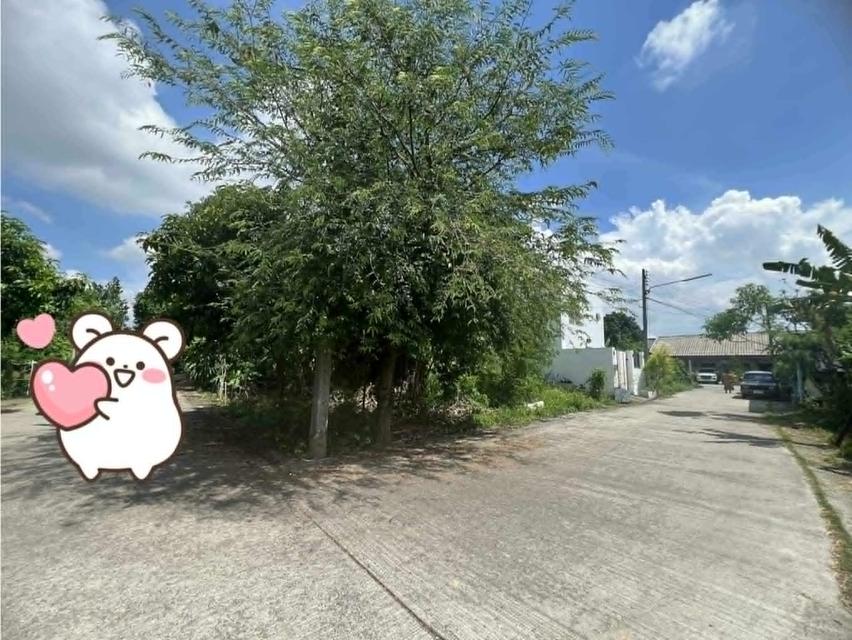 ที่ดิน พื้นที่ 46.1 ตารางวา ถนนนวลแก้ว หาดใหญ่ 4