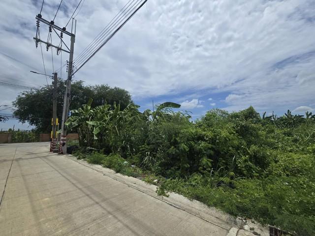 ขายที่ดินเปล่า 126 ตร.ว ถนนทวีวัฒนา หน้าปากซอยทวีวัฒนา-กาญจนาภิเษก 20 แปลงมุม ที่ดินทำเลดี ติดถนนใหญ่ ใกล้มหาวิทยาลัยกรุ
