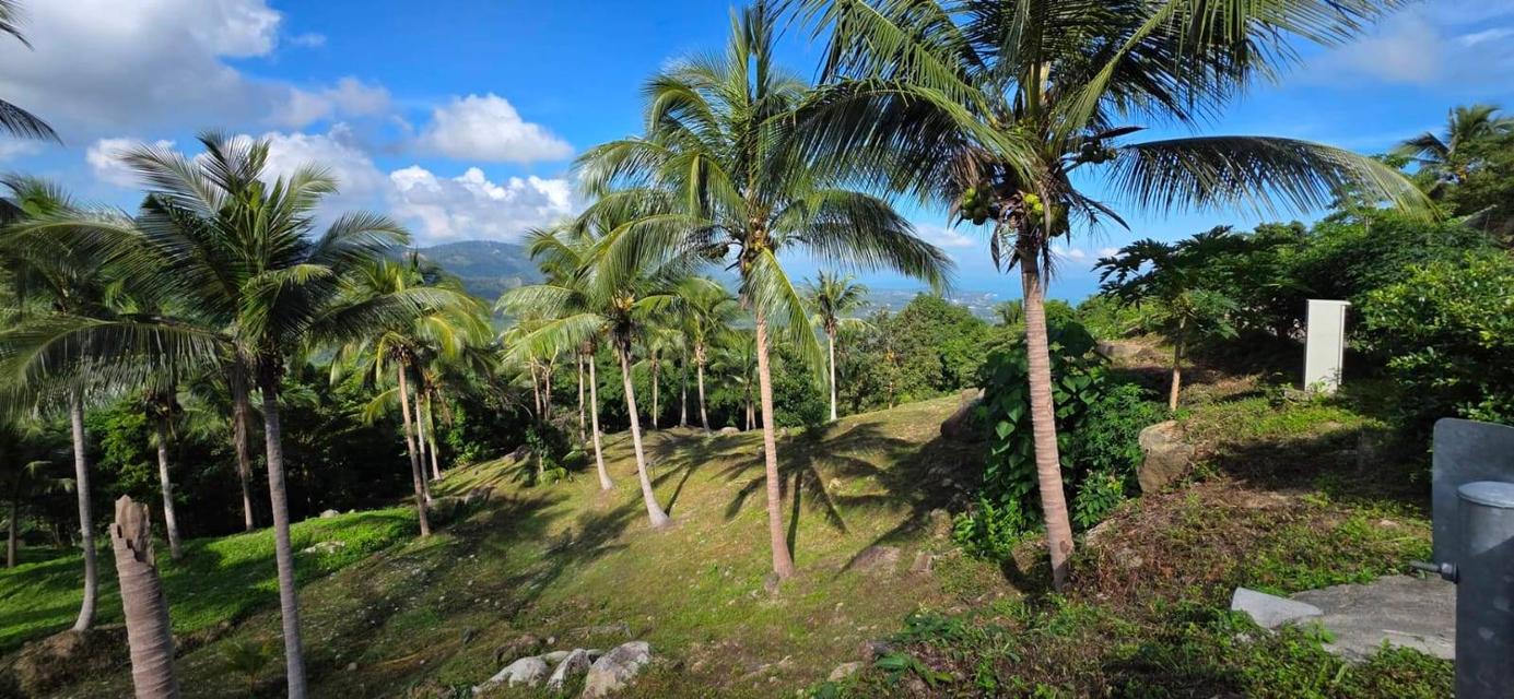 ที่ดินซีวิวบนเกาะสมุยอากาศดีถนนไฟฟ้าพร้อม 4