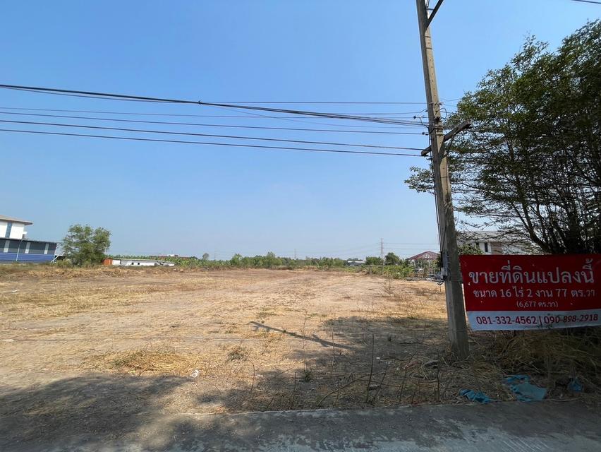 📣ขายที่ดินเปล่า 'ลาดหลุมแก้ว' (คลองลาดช้างห่างจากถนนใหญ่ 300 เมตร) พื้นที่ทั้งหมด 16 ไร่ 2งาน 77ตร.วา ที่ดินถมแล้ว ราคา 45 ลบ. พื้นที่สีเขียว 8