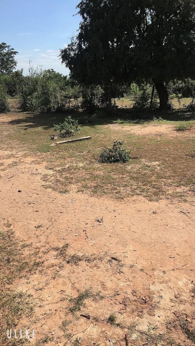 ที่ดินเปล่า บ้านกุดน้อย 3 งาน 75 ตารางวา อ.สีคิ้ว จ.นครราชสีมา 5