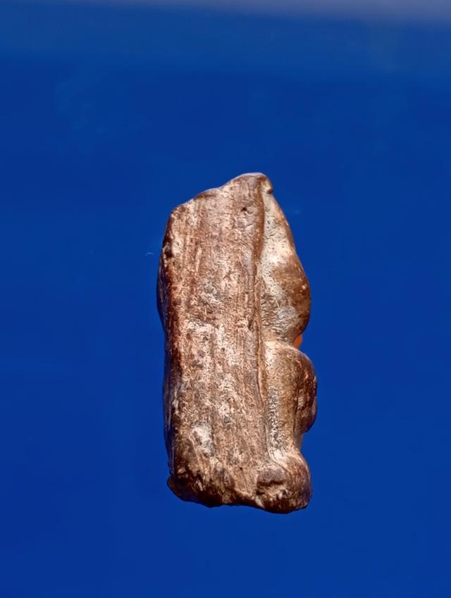 พระนางพญาพิษผณุโลก สภาพเก่า 3