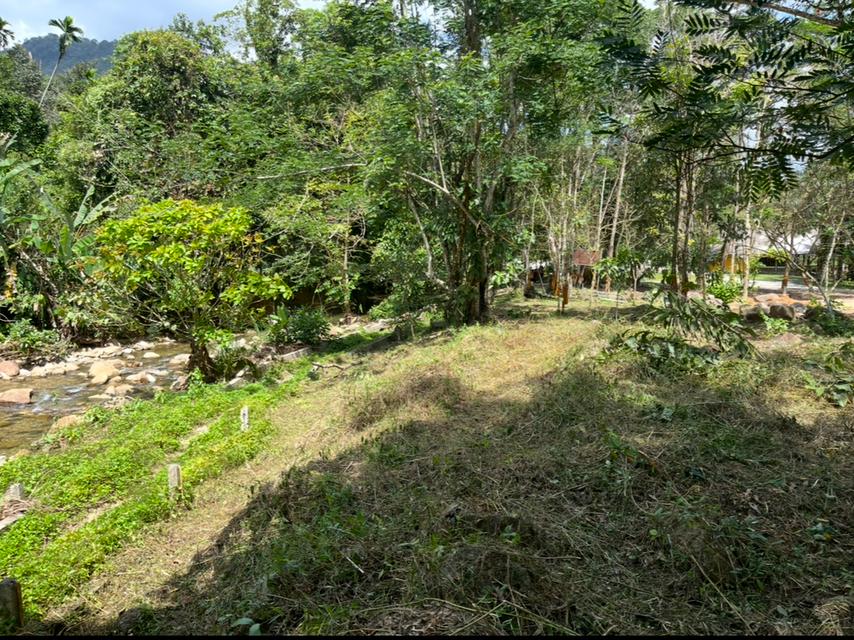 ขายที่ดินราคาถูก วิวภูเขา แม่น้ำ เหมาะทำบ้านพัก คาเฟ่ธรรมชาติ 2