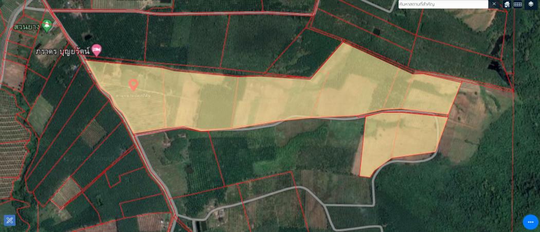 ขายด่วน !! ที่ดิน 263-3-26 ไร่ ระยอง ป่ายุบใน เหมาะสร้างหมู่บ้าน ทำสวน โรงงาน ปศุสัตว์ 4