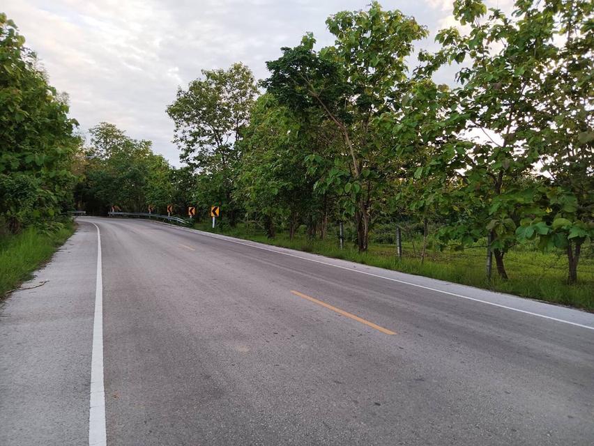 ที่ดินปล่าวติดถนน จ.ลำปาง 4
