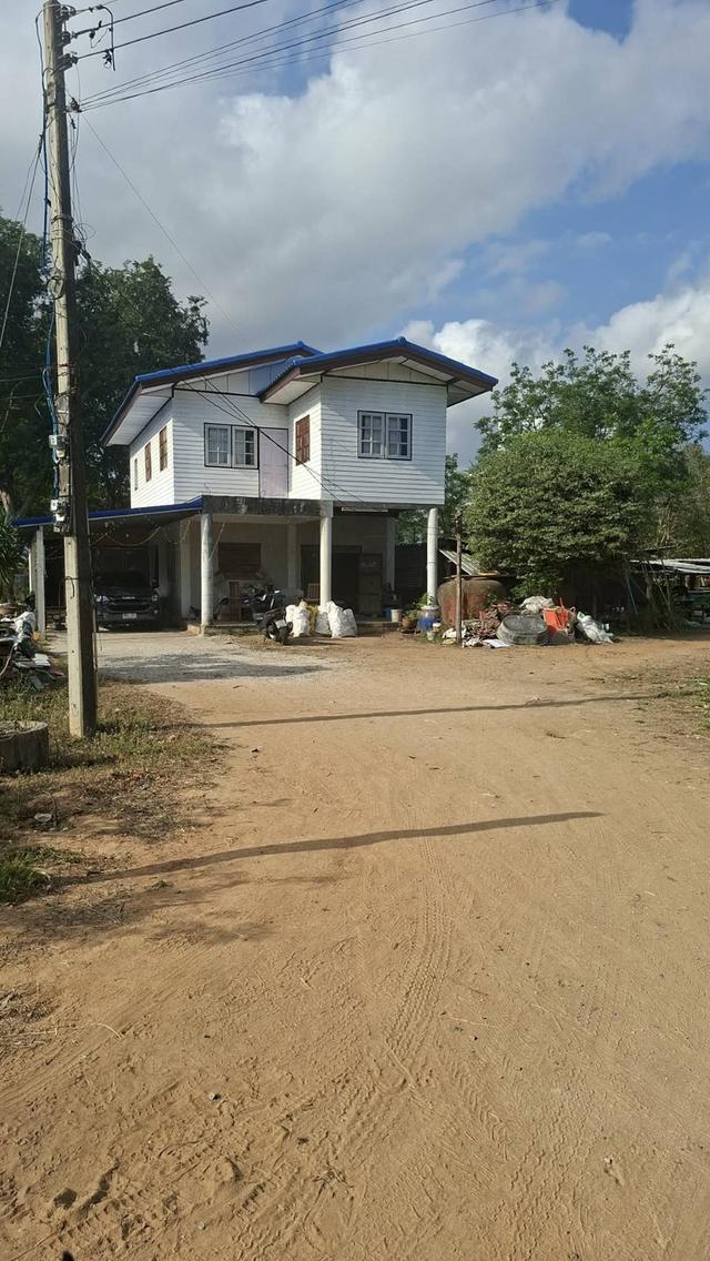 ที่ดินพร้อมสิ่งปลูกสร้าง 1