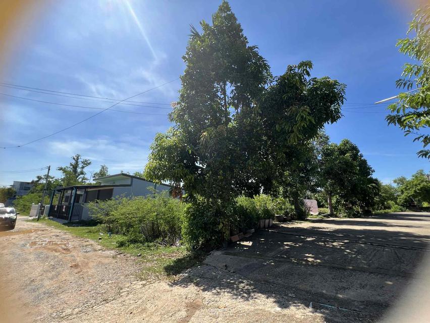 ที่ดิน 47ตารางวา บ้านพรุ หาดใหญ่ 3