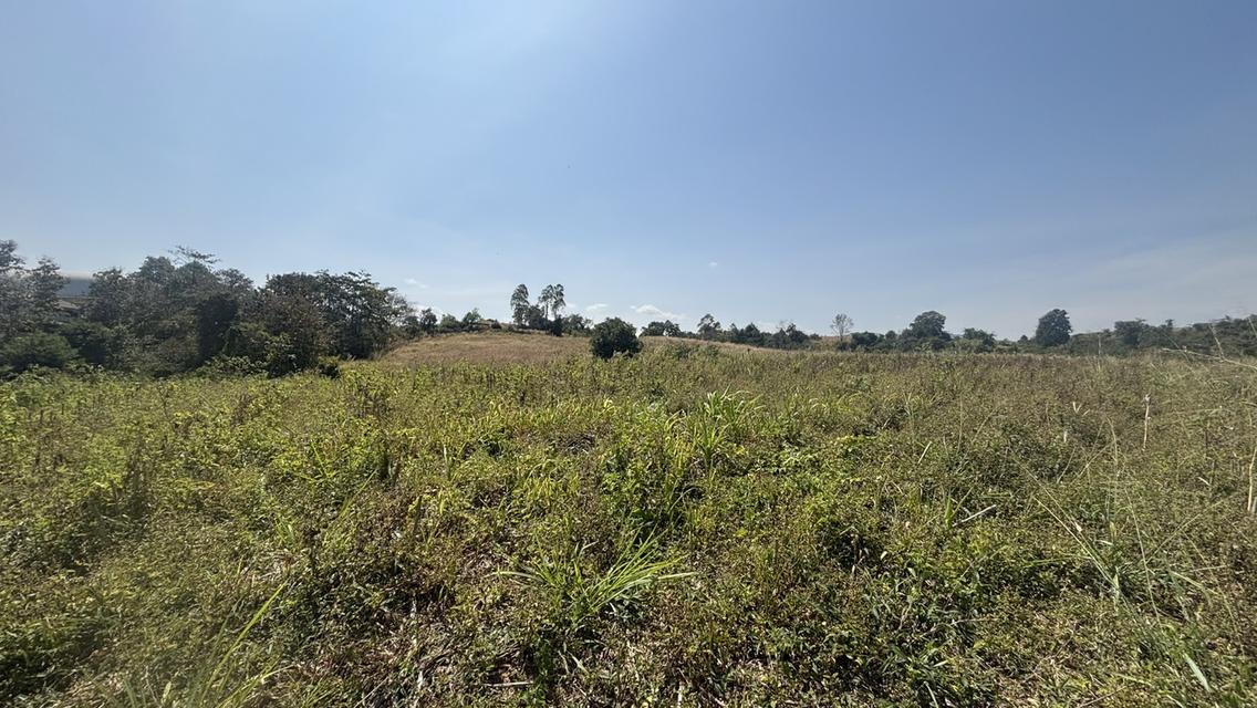 ที่ดิน เปล่า อยู่ติดถนน 304 เพียง 5 นาที วิวสวย บนภูเขา วังน้ำเขียว 3