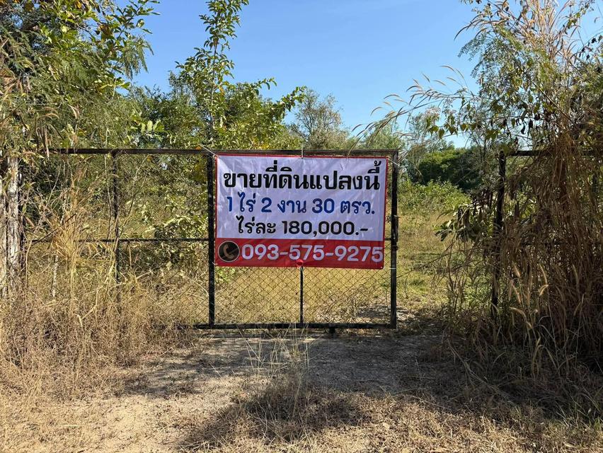 ที่ดินลำปาง ราคาถูกมาก ใกล้ถนนหลัก ใกล้คาเฟ่ น้ำไม่ท่วม 6