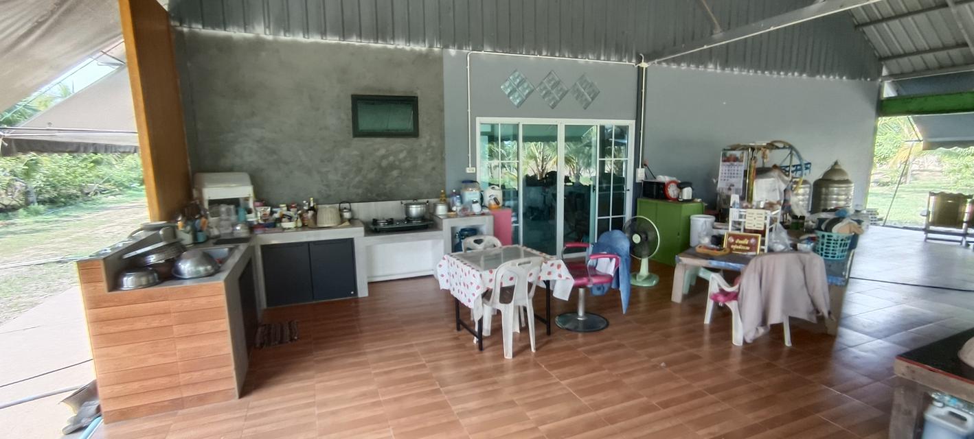 บ้านสวนพร้อมที่ดินสวย 11