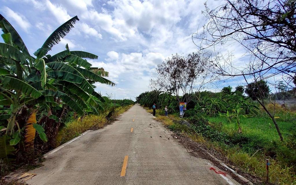 ขายถูกที่ดิน 163 ตรว ติดถนนคอนกรีต ซ.คนรักถิ่น ปากเกร็ด นนทบุรี 3