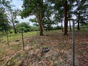 Land for Sale in kathu Phuket 5