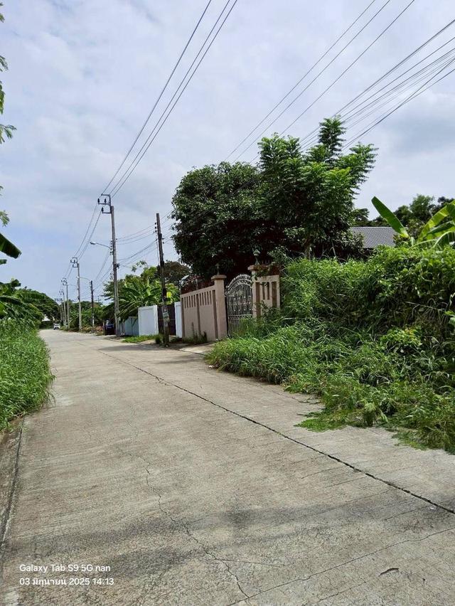 ขายที่ดินพุทธมณฑลสายสอง 113 ตรว ติดถนนคอนกรีตสาธารณะ ถมแล้ว  ซ.11 ภาษีเจริญ กทม. 8