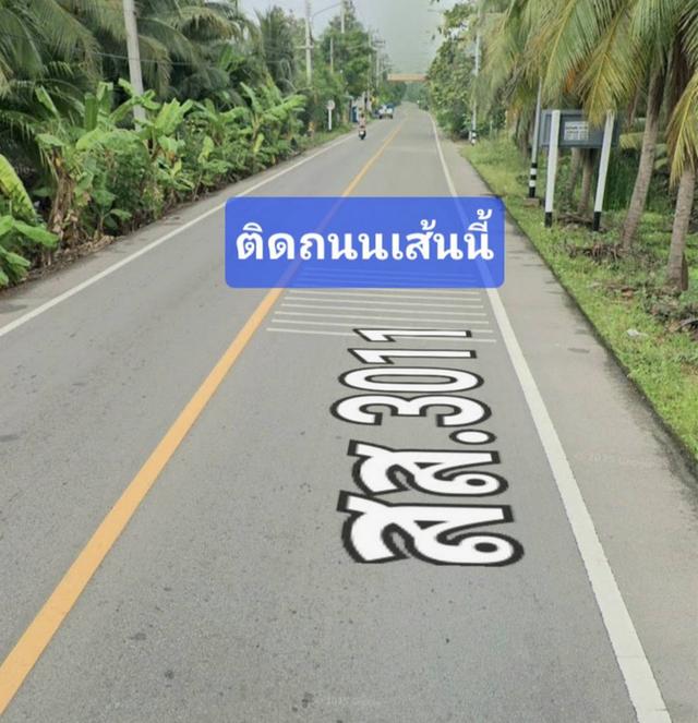 ขายที่ดินสมุทรสงคราม ติดถนนหน้ากว้างทางไปตลาดน้ำท่าคา ถูกที่สุดในโซนนี้ ฟรีโอน คุยง่าย จบไว เจ้าของใจดี 3