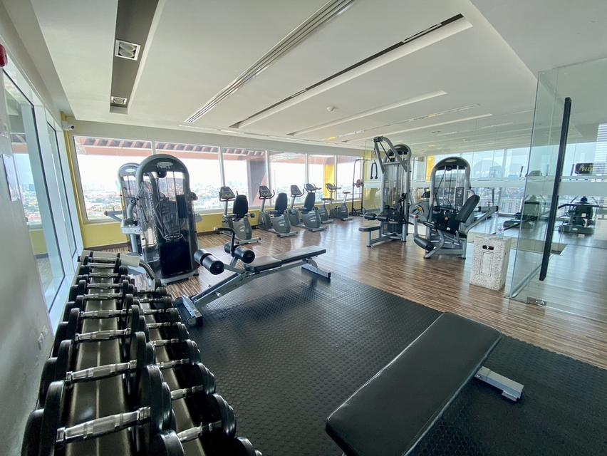 Condominiums ivy pinklao 4