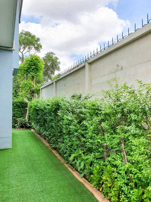 ให้เช่า บ้านเดี่ยว ไลฟ์ บางกอก บูเลอวาร์ด รามอินทรา 𝟔𝟓 บ้านแปลงสวย หน้าสวน พร้อมเข้าอยู่ ใกล้รถไฟฟ้าสายสีชมพู สถานีวัชรพล และคู้บอน 7