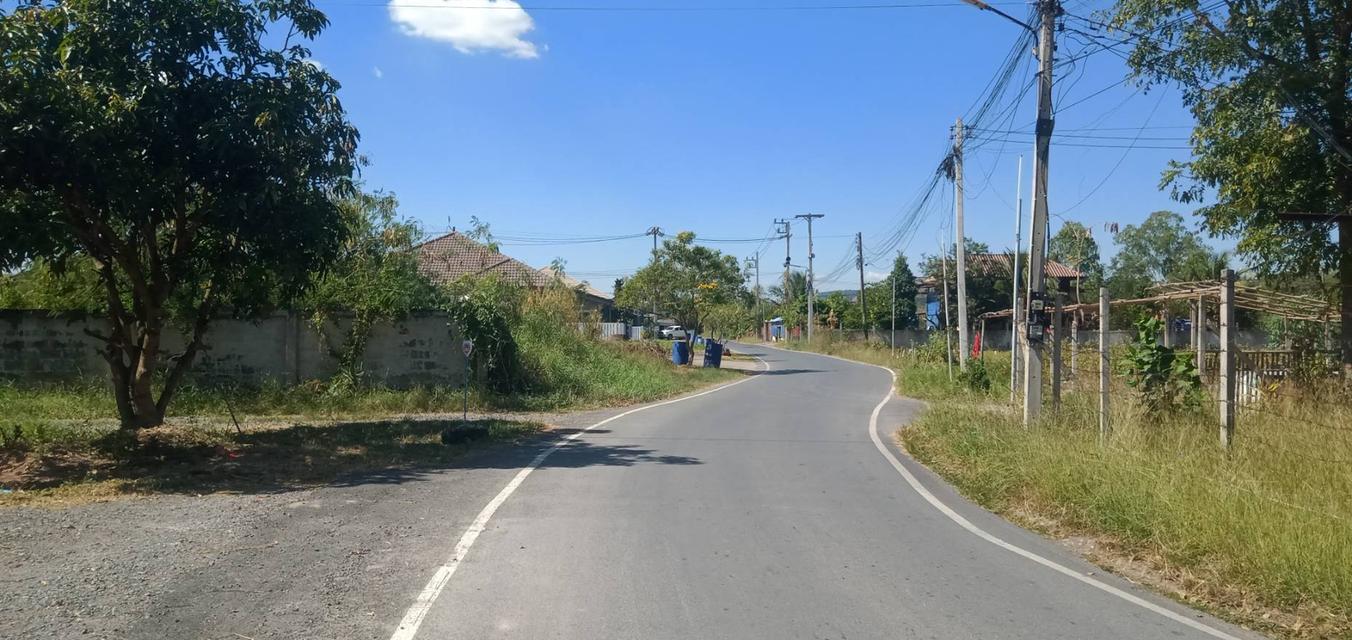 ขายที่ดินเปล่า 1 ไร่ ต.บ้านลำ อ.วิหารแดง สระบุรี หลัง รพ.วิหารแดง น้ำประปา ไฟฟ้าพร้อม บรรยากาศดี เหมาะสำหรับการพักอาศัย Tel 0818413784 5