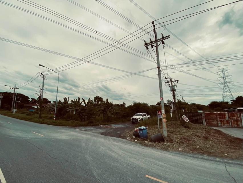 ขายถูกต่ำกว่าประเมิน 292 ตรว ติดถนนสาธารณะ คลอง 13 ฝั่งตะวันตก หนองจอก กทม. 8