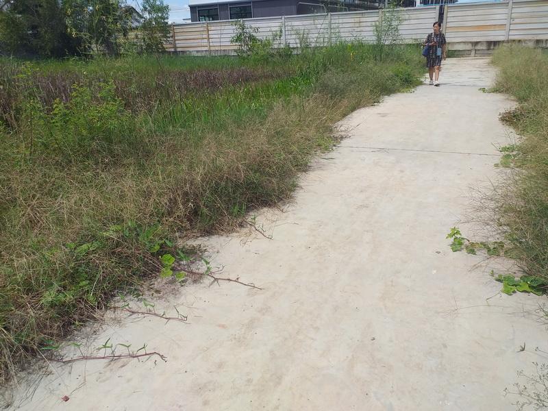 ขายที่โฉนด จำนวน 1 งาน 92 ตรว ที่ดินสี่เหลี่ยมสวย รังสิต ปทุมธานี 14