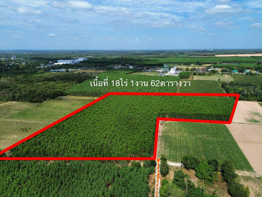 ขายที่ดินหนองเหียง 18 ไร่ ซอยบ้านไทรคู่13 ใกล้ถนนเส้น3086-1.1กม. อ.พนัสนิคม จ.ชลบุรี 1