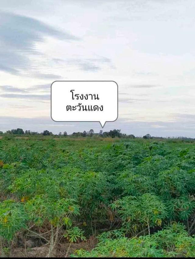 ขายที่ดิน 89 ไร่ ไร่ละ 170,000 1