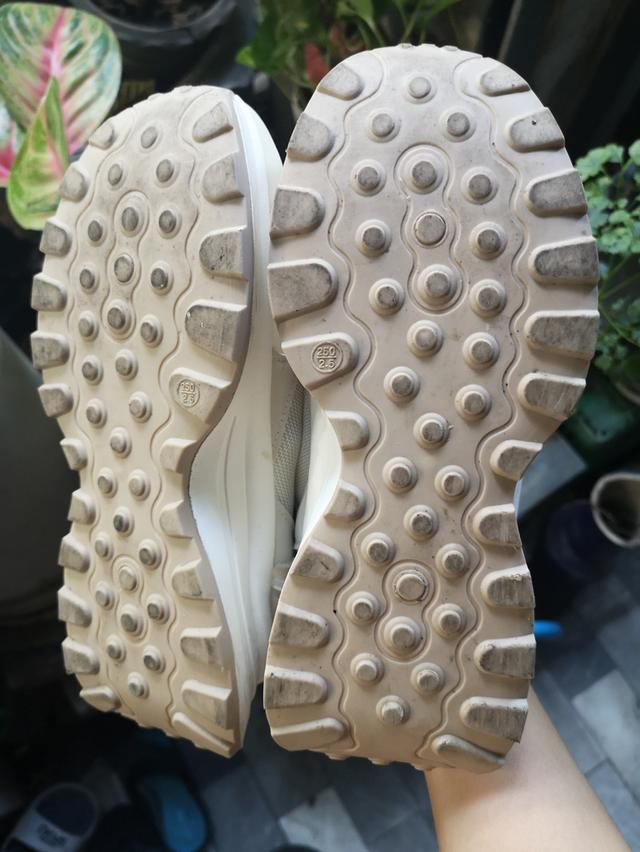 Corolla Colorblock Shoes รองเท้าผ้าใบผู้หญิง สีขาวนวล ไซต์ 40 (25 cm) 6